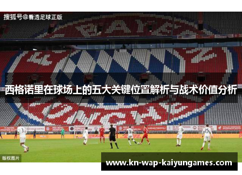 西格诺里在球场上的五大关键位置解析与战术价值分析 西格诺里在球场上的五大关键位置解析与战术价值分析