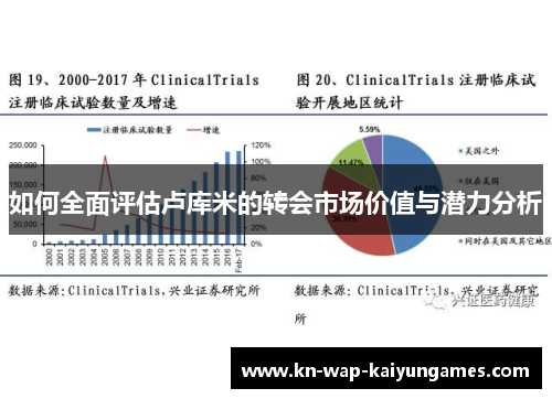 如何全面评估卢库米的转会市场价值与潜力分析