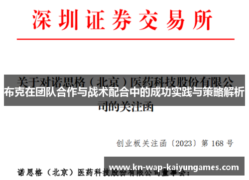 布克在团队合作与战术配合中的成功实践与策略解析