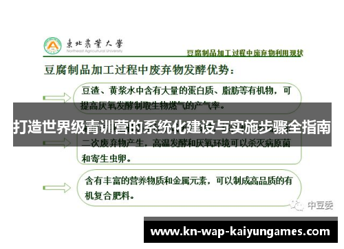 打造世界级青训营的系统化建设与实施步骤全指南