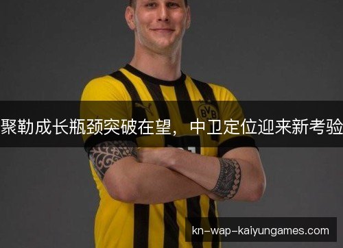 聚勒成长瓶颈突破在望，中卫定位迎来新考验